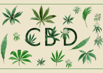 Is CBD legal? Here Is What You Need to Know
