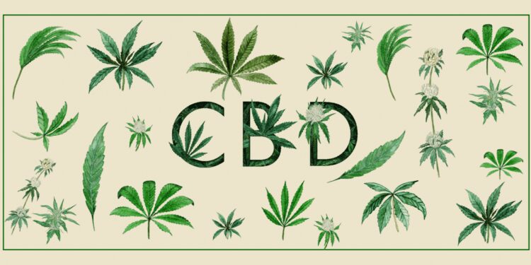 Is CBD legal? Here Is What You Need to Know