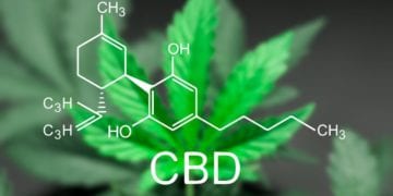 CBD Marketing: What you need to know!