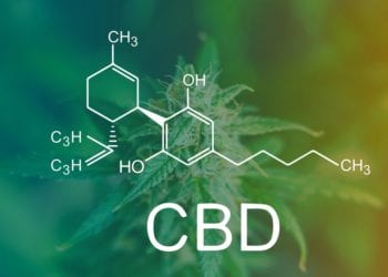 CBD Marketing: What you need to know!