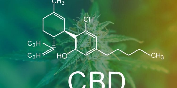 CBD Marketing: What you need to know!