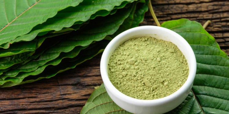 Kratom Strains, Types and How They Work