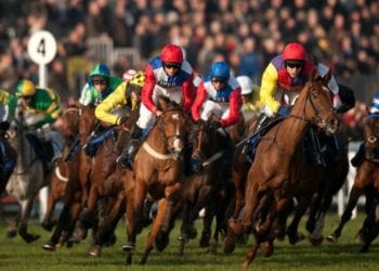 What Makes Horse Racing So Special?