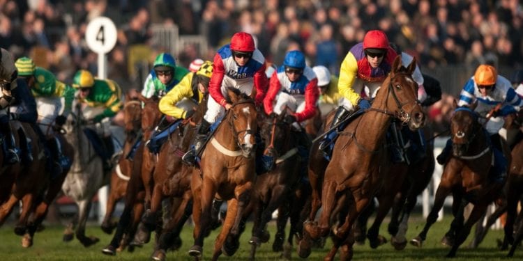 What Makes Horse Racing So Special?