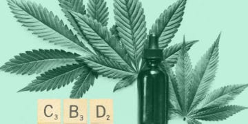 Everything You Want to Know About CBD