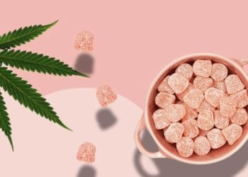 CBD Oil Vs Gummies – Which Should You Choose 2023 Guide