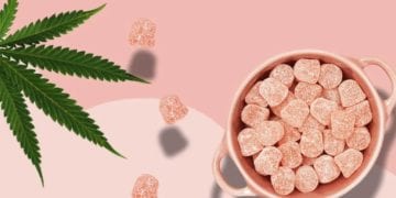 CBD Oil Vs Gummies – Which Should You Choose 2023 Guide