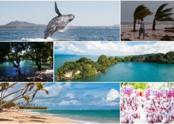 6 Best Time to Visit the Dominican Republic in 2023