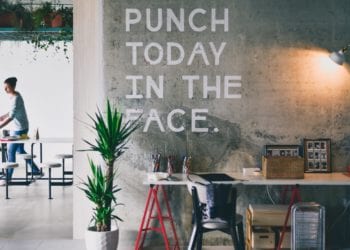 Everything You Always Wanted to Know About Bootstrapped and Small Start-ups (But Were Afraid to Ask)