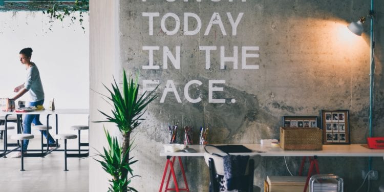 Everything You Always Wanted to Know About Bootstrapped and Small Start-ups (But Were Afraid to Ask)