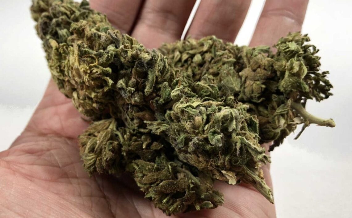 10 Facts You Need to Know About CBD Flower