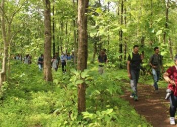 3 Outdoor Hobbies For Nature Lovers in 2023