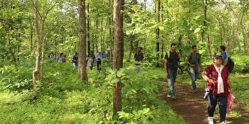 3 Outdoor Hobbies For Nature Lovers in 2023