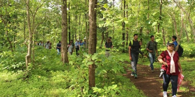 3 Outdoor Hobbies For Nature Lovers in 2023