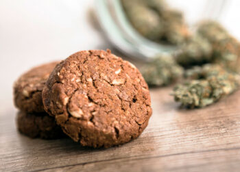 How To Make CBD Oil Taste Better – 2023 Guide  