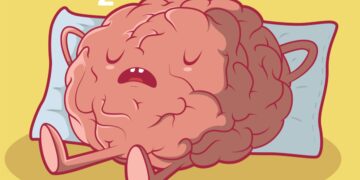 Food For The Brain: 12 Interesting Did You Know Facts