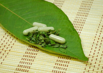 5 Most Common Myths About Kratom Debunked