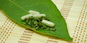 5 Most Common Myths About Kratom Debunked