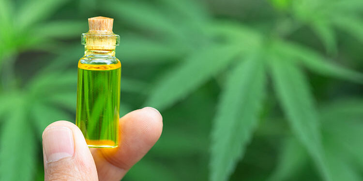 CBD Isolate vs CBD Distillate – 2023 Comparison Guide
