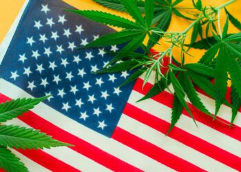 Changing Cannabis Laws in the United States: What You Need to Know