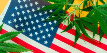 Changing Cannabis Laws in the United States: What You Need to Know