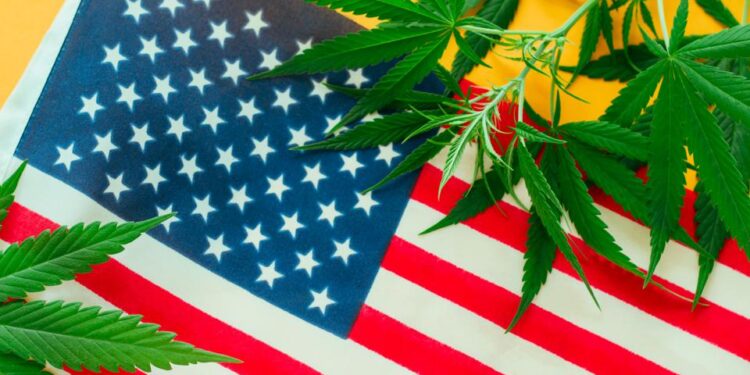 Changing Cannabis Laws in the United States: What You Need to Know