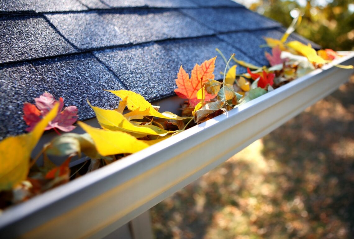 5 Tips And Tricks For Keeping Leaves Out Of Your Gutter