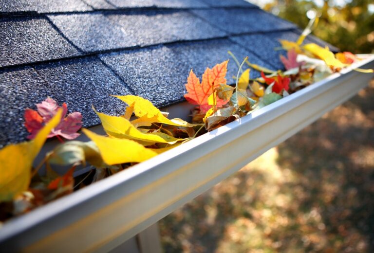 5 Tips And Tricks For Keeping Leaves Out Of Your Gutter