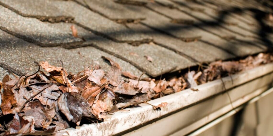 5 Tips And Tricks For Keeping Leaves Out Of Your Gutter