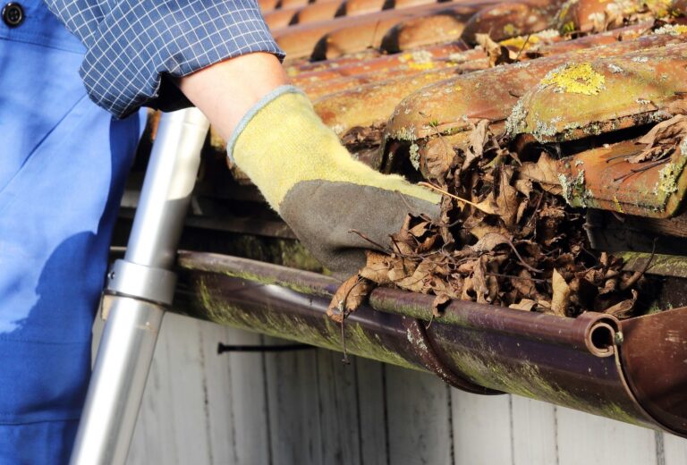 5 Tips And Tricks For Keeping Leaves Out Of Your Gutter