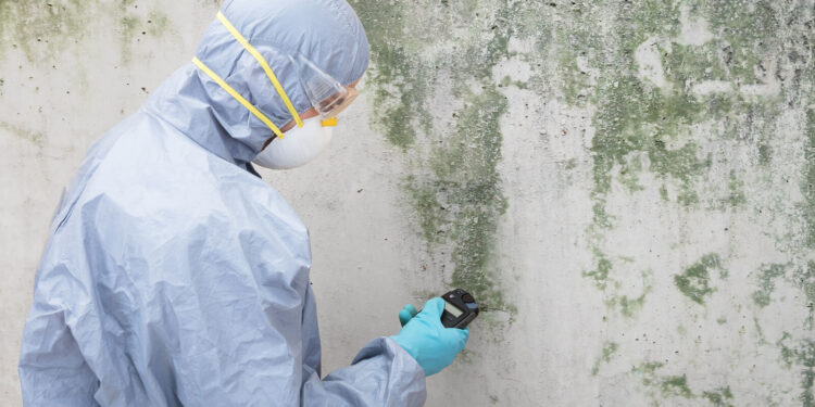 4 Warning Signs That You Need Mold Remediation- 2023 Guide