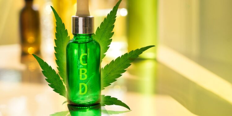 7 Reasons Why Some CBD Oils Are So Expensive