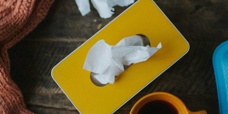 Home Cleaning Tips After Flu or Viral Infection