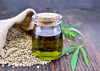 Cannabis Sativa Seed Oil is Surprisingly Good For Your Body