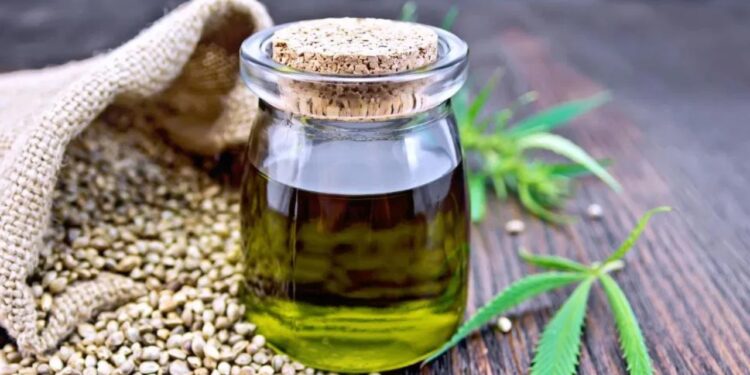 Cannabis Sativa Seed Oil is Surprisingly Good For Your Body