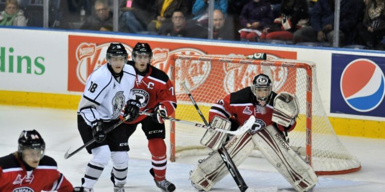 Betting on Hockey: Features, Types, Professional Tips