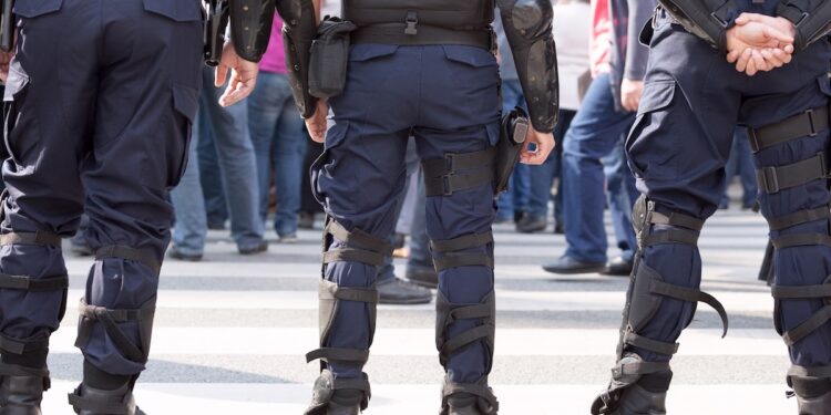 Guidelines On The Use Of Armed Security Services From Private Security Companies