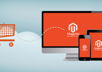 A Beginner’s Guide to Magento Web Development: Getting Started with the Platform