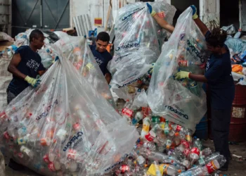 Is the Plastic Doom and Gloom Just More of the Same?