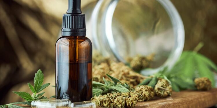Everything You Need to Know About Cannabis Tinctures