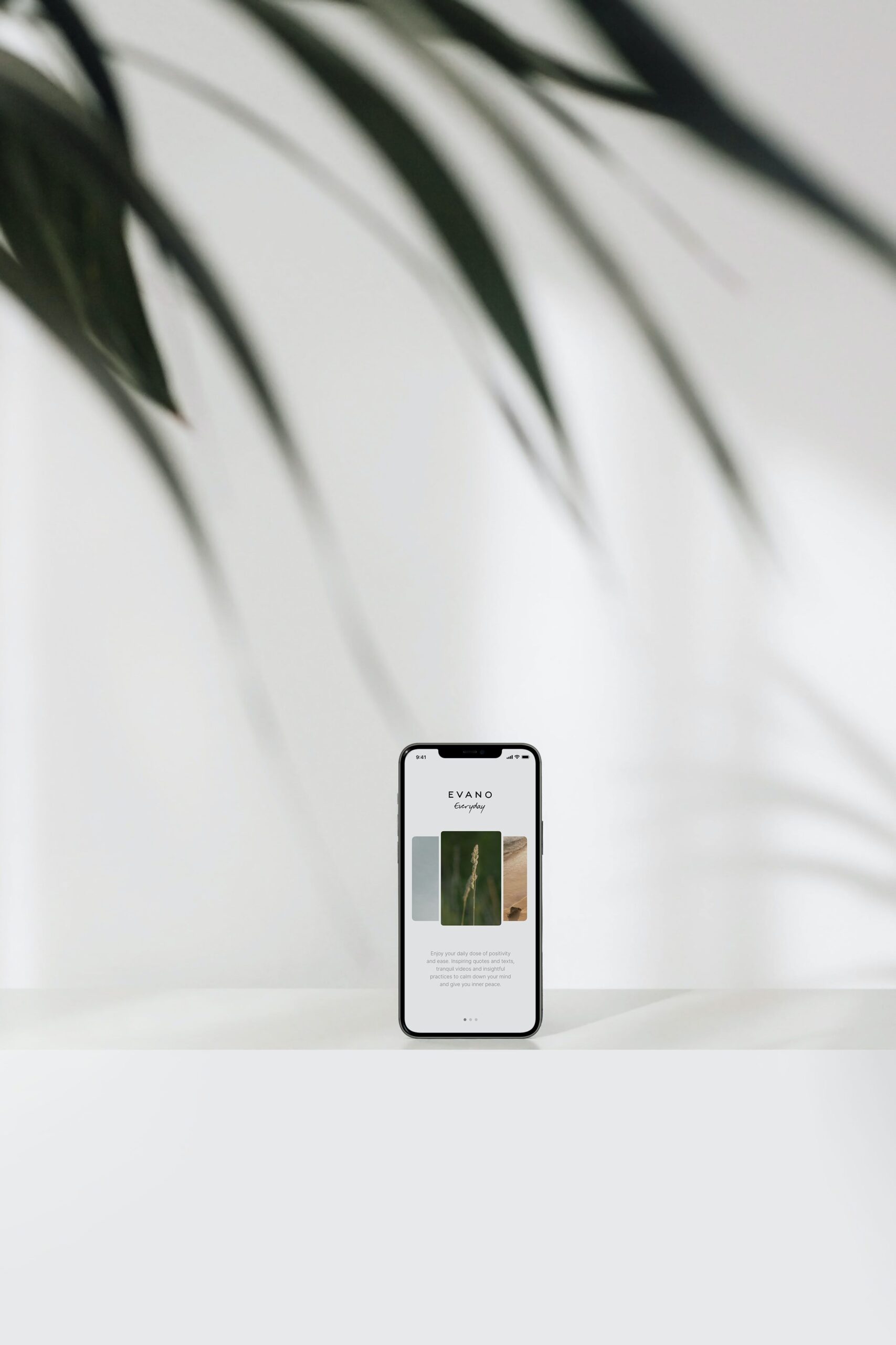Modern smartphone showing a minimalist, mobile-responsive website design